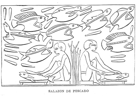 Ancient Egyptian Depiction Of Fish Salting Process Coloring Page